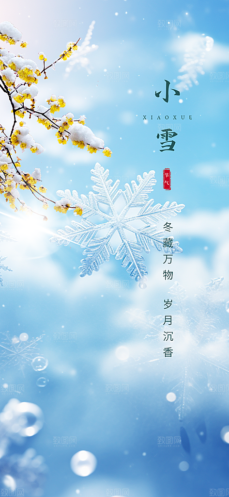 二十四节气小雪冬天宣传活动海报