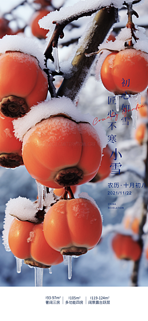 二十四节气小雪冬天宣传活动海报