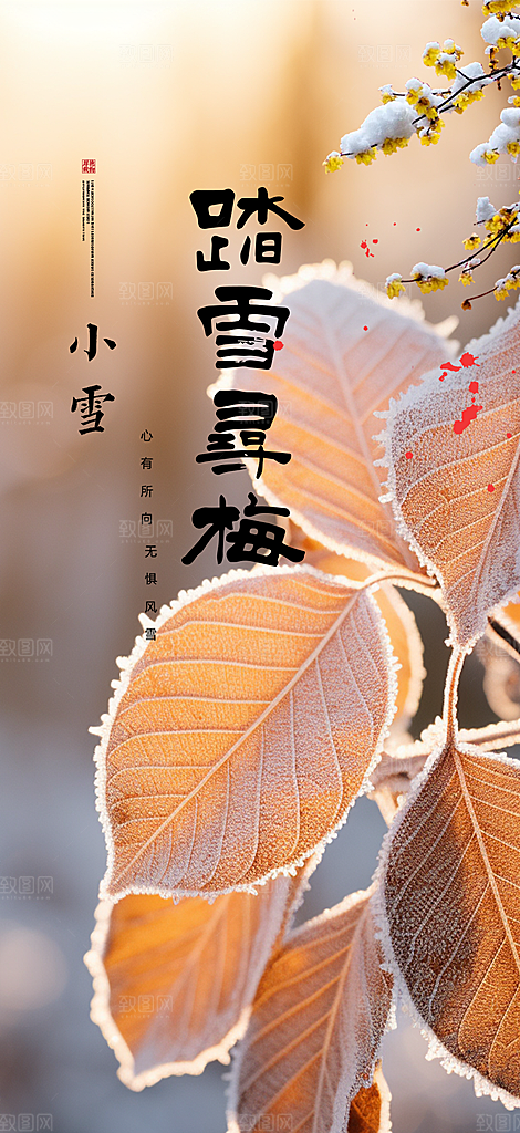 传统二十四节气小雪冬天宣传活动海报
