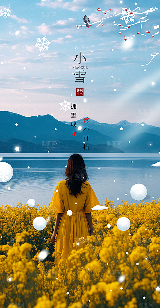 传统二十四节气小雪冬天宣传活动海报
