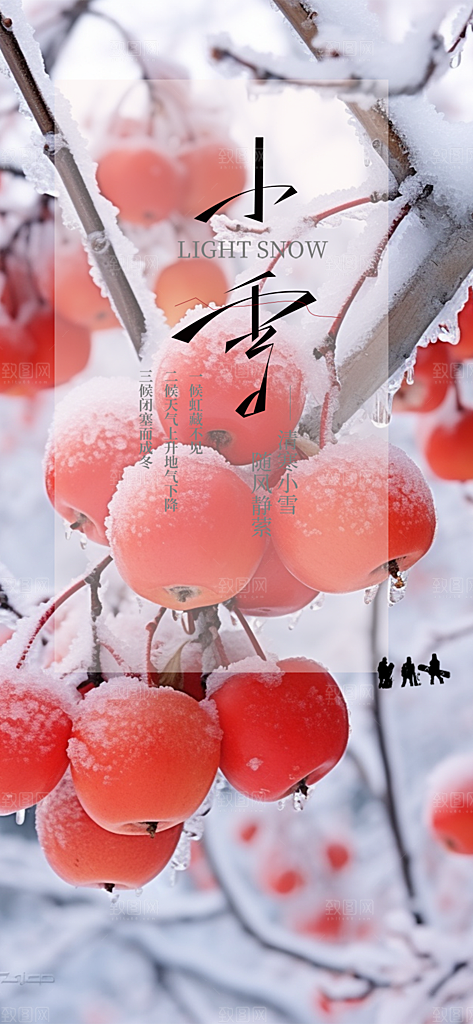 传统二十四节气小雪冬天宣传活动海报
