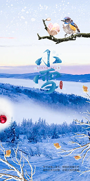小雪冬天宣传活动海报