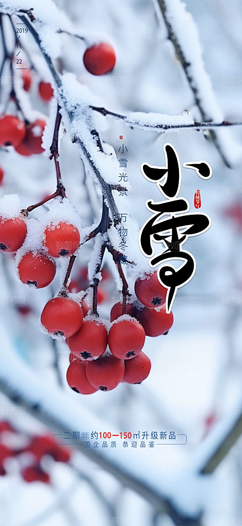 小雪冬天宣传活动海报