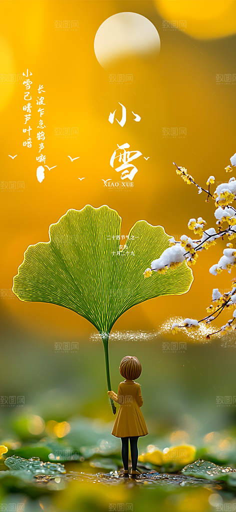 节气小雪冬天宣传活动海报