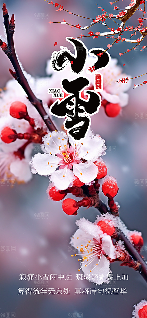 节气小雪冬天宣传活动海报