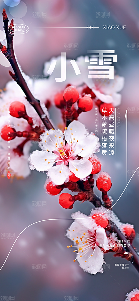 节气小雪冬天宣传活动海报