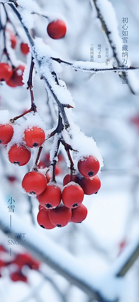 节气小雪冬天宣传活动海报