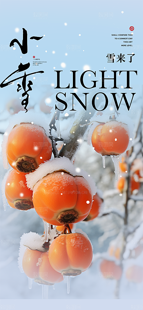 节气小雪冬天宣传活动海报