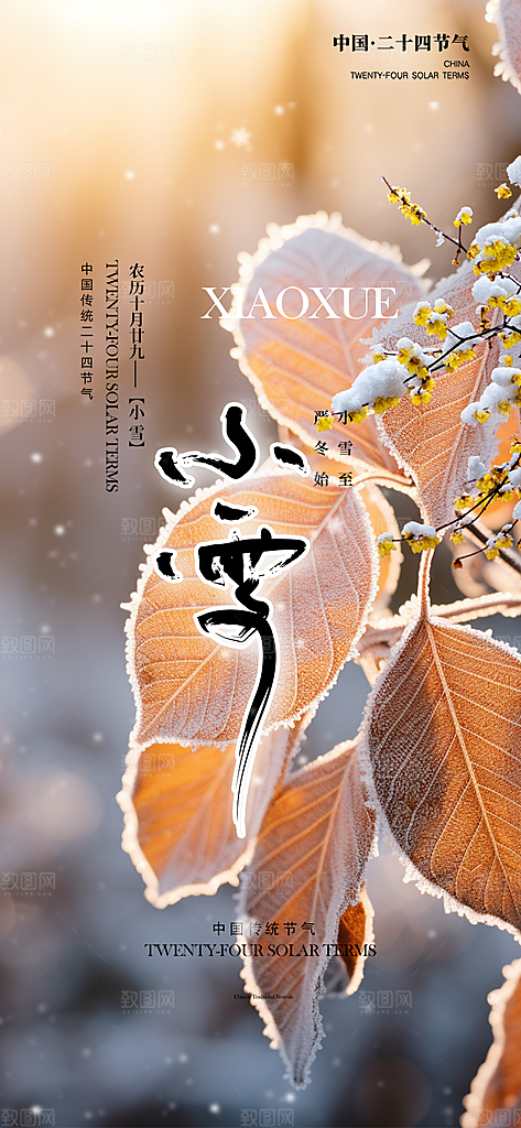 传统二十四节气小雪冬天宣传活动海报