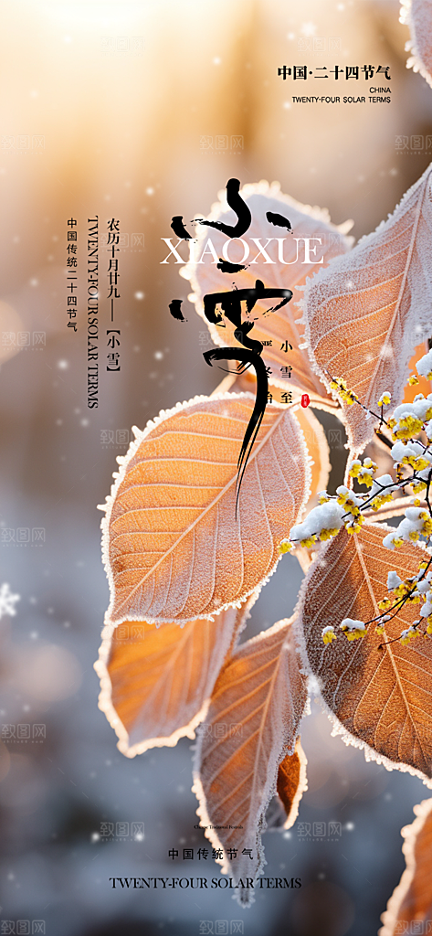 传统二十四节气小雪冬天宣传活动海报