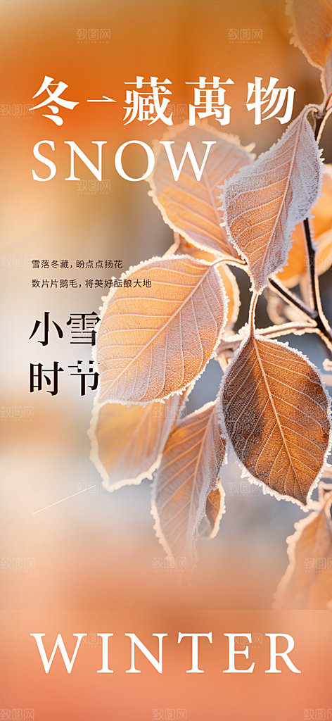 传统二十四节气小雪冬天宣传活动海报