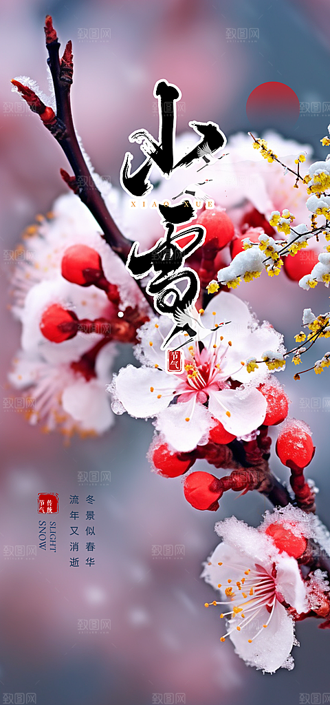 传统二十四节气小雪冬天宣传活动海报