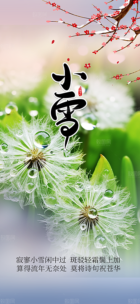 传统二十四节气小雪冬天宣传活动海报