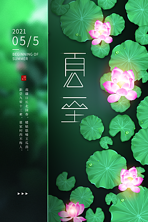 夏至节气简约大气海报
