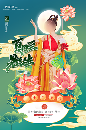 夏至节气简约大气海报