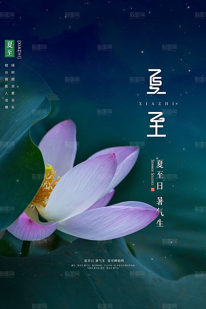 传统节气夏至海报模版