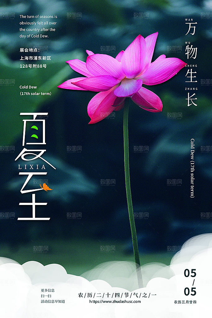 夏至节气简约大气海报