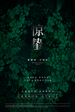 传统节气惊蛰海报模版