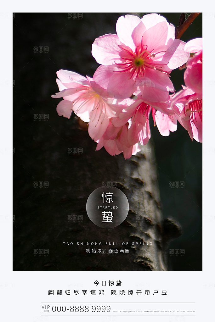 传统节气惊蛰海报模版