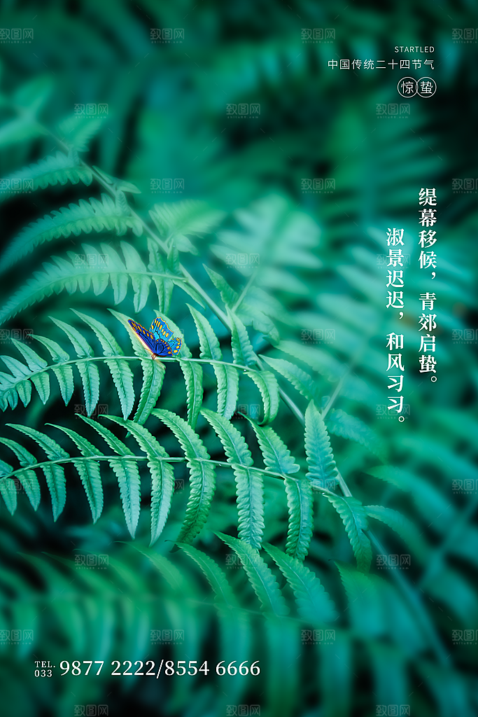 传统节气惊蛰海报模版