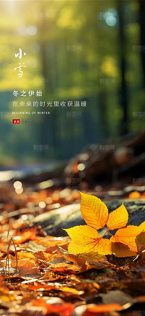 传统二十四节气小雪冬天宣传活动海报