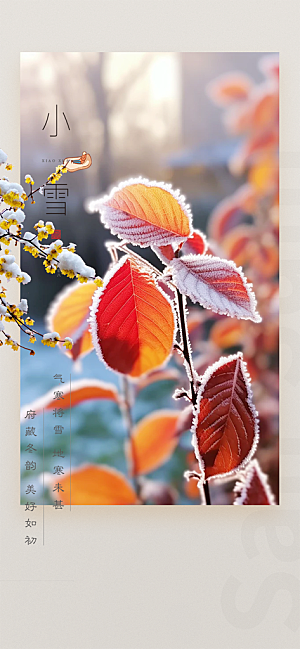 节气小雪冬天宣传活动海报