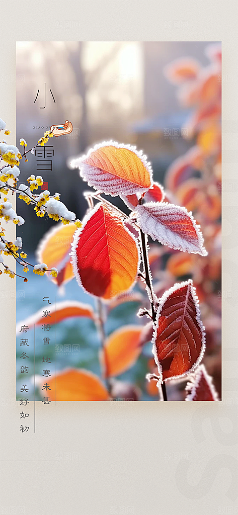 节气小雪冬天宣传活动海报