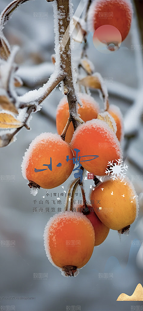 节气小雪冬天宣传活动海报