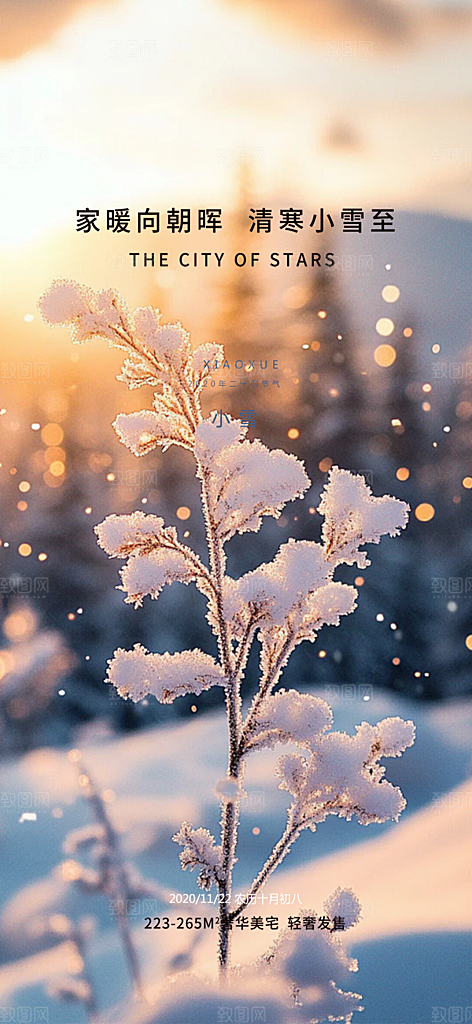 节气小雪冬天宣传活动海报