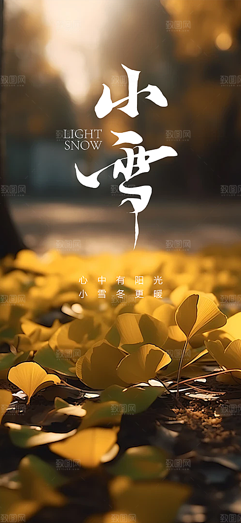 传统二十四节气小雪冬天宣传活动海报