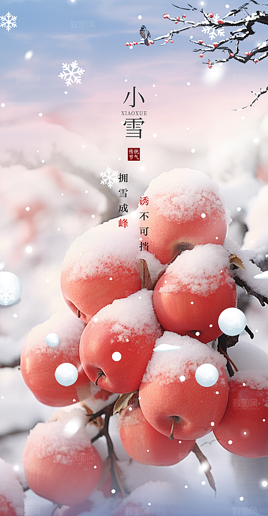 节气小雪冬天宣传活动海报