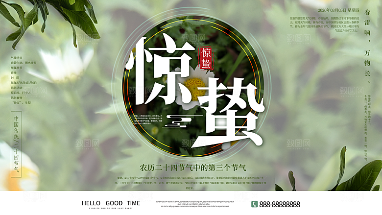 惊蛰节气简约大气海报