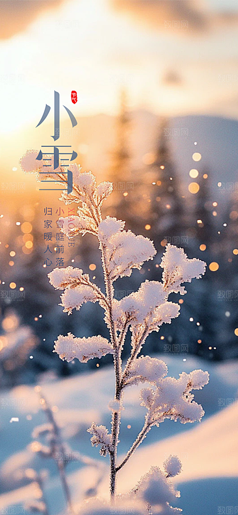 节气小雪冬天宣传活动海报