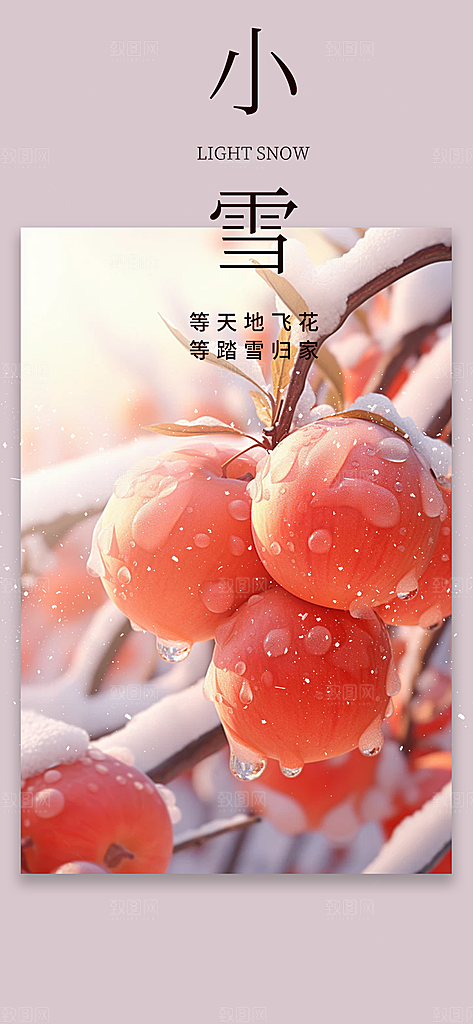 节气小雪冬天宣传活动海报