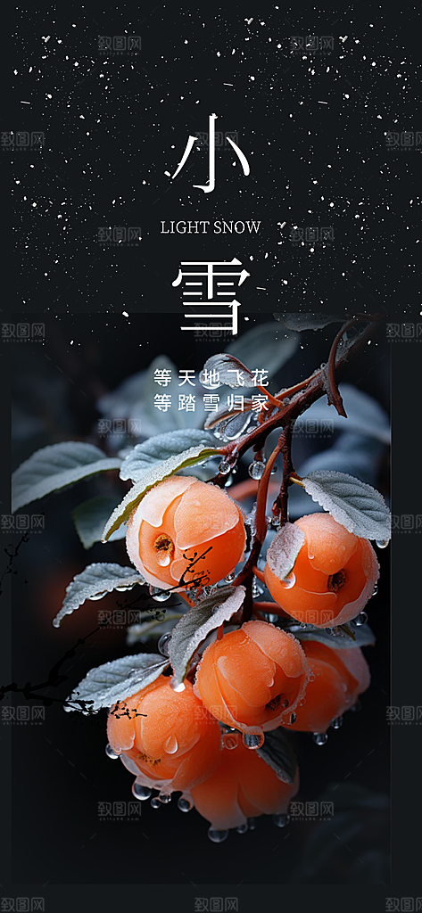 节气小雪冬天宣传活动海报