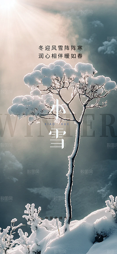 节气小雪冬天宣传活动海报
