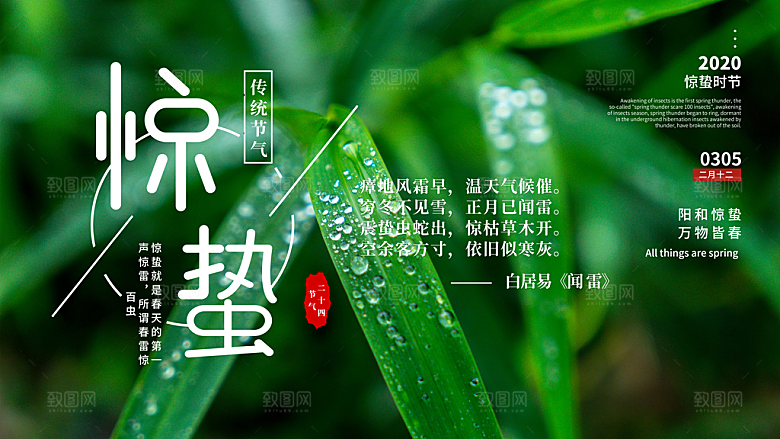惊蛰节气简约大气海报