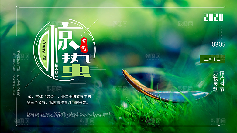 惊蛰节气简约大气海报