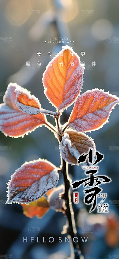 二十四节气小雪冬天宣传活动海报