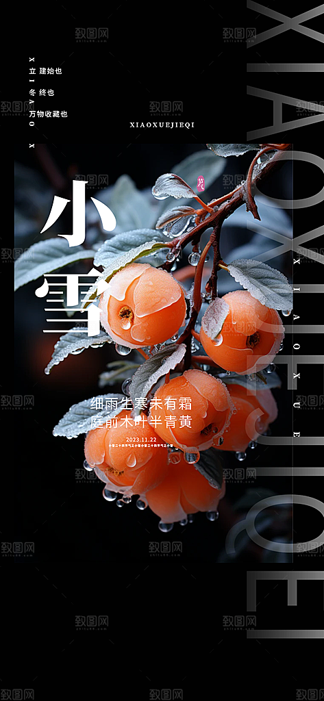 二十四节气小雪冬天宣传活动海报