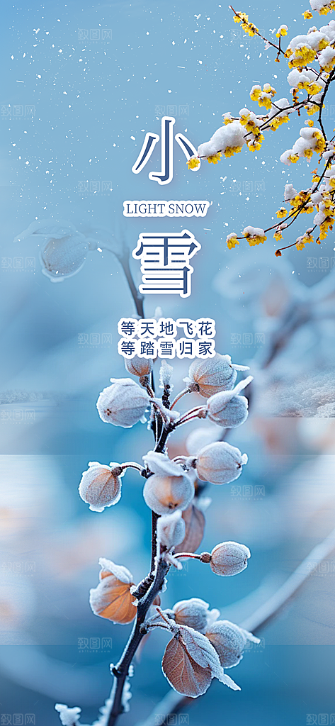 二十四节气小雪冬天宣传活动海报