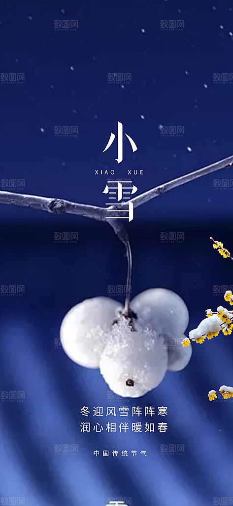 二十四节气小雪冬天宣传活动海报