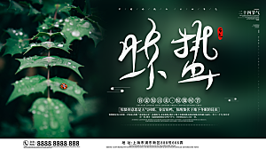 惊蛰节气简约大气海报
