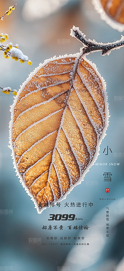 传统二十四节气小雪冬天宣传活动海报