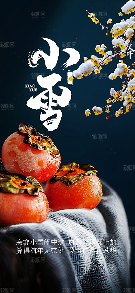 传统二十四节气小雪冬天宣传活动海报
