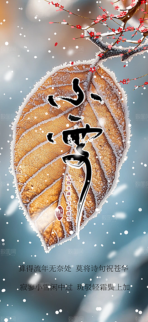 传统二十四节气小雪冬天宣传活动海报