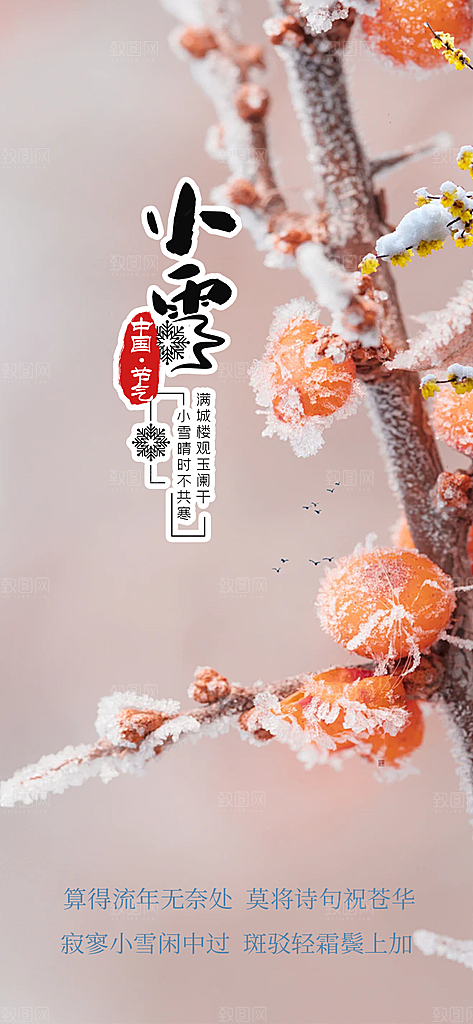 传统二十四节气小雪冬天宣传活动海报