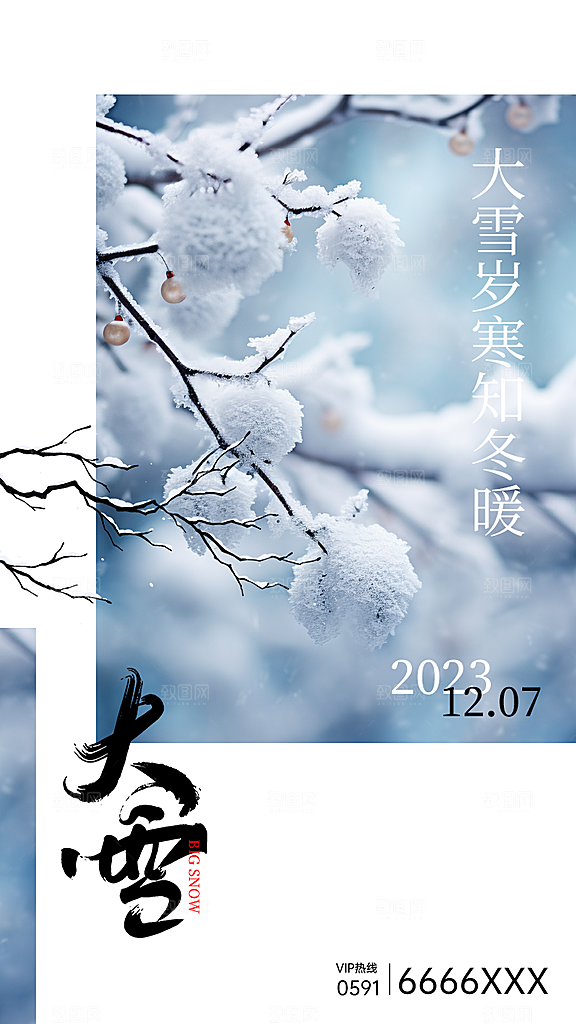 传统节气大雪简约海报