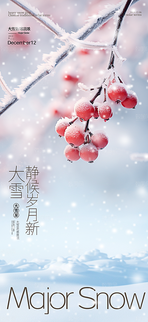 二十四节气大雪简约海报