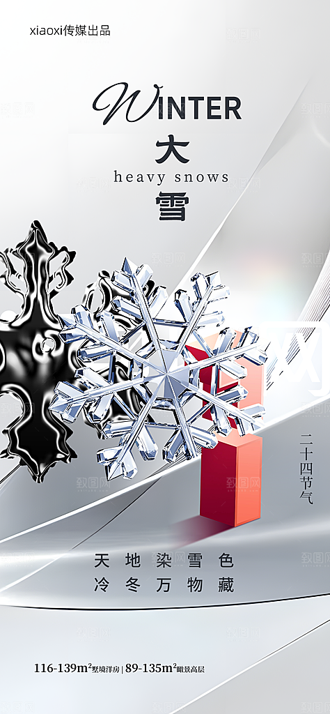 传统节气大雪简约海报